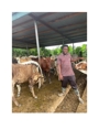 8GH BLESS KWADWO